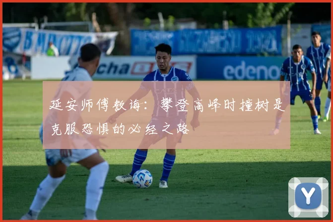 延安师傅教诲：攀登高峰时撞树是克服恐惧的必经之路