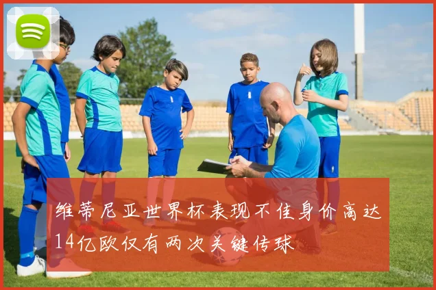 维蒂尼亚世界杯表现不佳身价高达14亿欧仅有两次关键传球